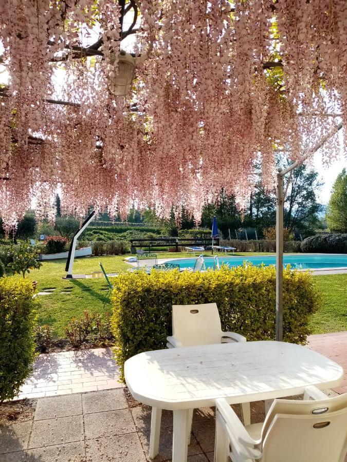 Agriturismo Ca' Castellani Bardolino Eksteriør bilde