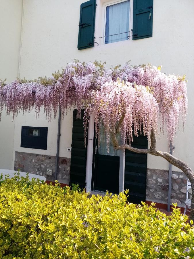 Agriturismo Ca' Castellani Bardolino Eksteriør bilde